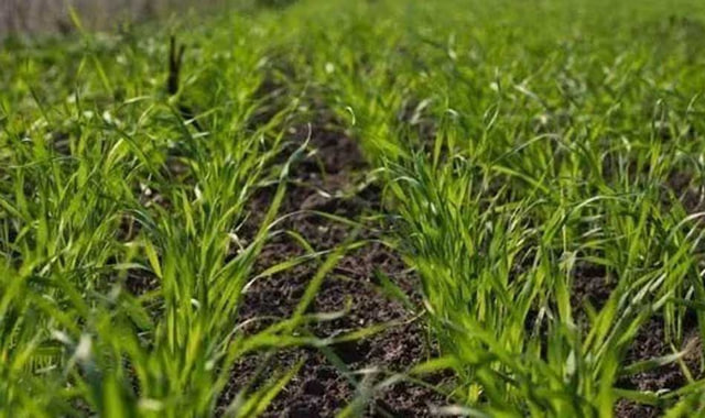 na-torgah-gtsbt-obshaya-summa-sdelok-sostavila-svyshe-7-millionov-763-tysyac-dollarov-ssha