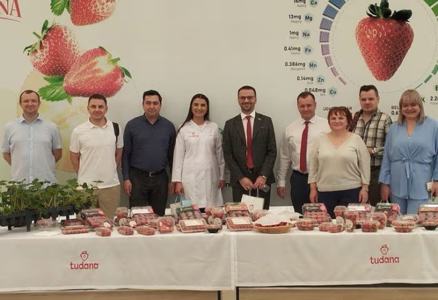 na-torgah-gtsbt-obshaya-summa-sdelok-sostavila-svyshe-7-millionov-763-tysyac-dollarov-ssha