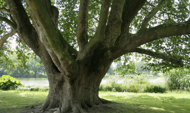 na-torgah-gtsbt-obshaya-summa-sdelok-sostavila-svyshe-7-millionov-763-tysyac-dollarov-ssha