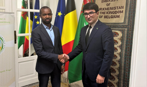 Туркменистан и Brussels Africa Hub обсудили новые возможности сотрудничества