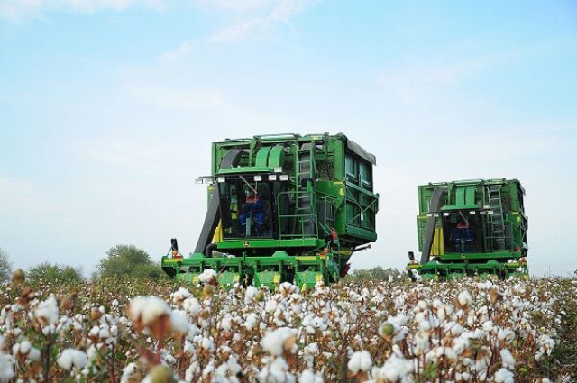 na-torgah-gtsbt-obshaya-summa-sdelok-sostavila-svyshe-7-millionov-763-tysyac-dollarov-ssha