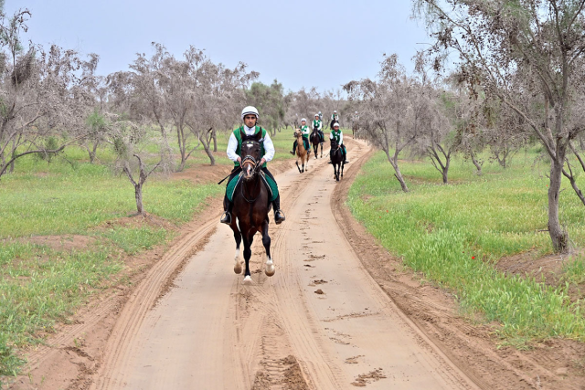 na-torgah-gtsbt-obshaya-summa-sdelok-sostavila-svyshe-7-millionov-763-tysyac-dollarov-ssha