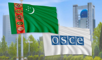 В Туркменистане представили план сотрудничества с ОБСЕ на 2026 год