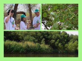 Для молодёжи Туркменистана провели двухдневный эко тур  