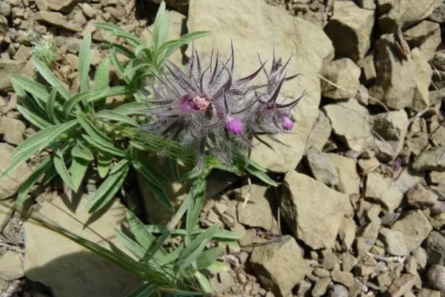 na-torgah-gtsbt-obshaya-summa-sdelok-sostavila-svyshe-7-millionov-763-tysyac-dollarov-ssha