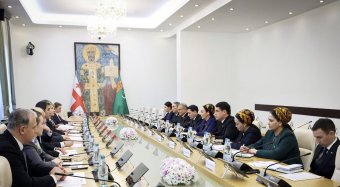 Начался официальный визит Председателя Меджлиса Туркменистана в Грузию