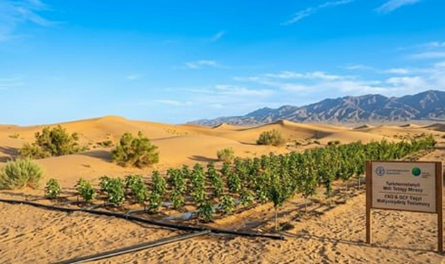 na-torgah-gtsbt-obshaya-summa-sdelok-sostavila-svyshe-7-millionov-763-tysyac-dollarov-ssha