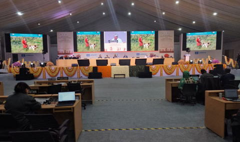 Туркменский алабай признан нематериальным культурным наследием ЮНЕСКО