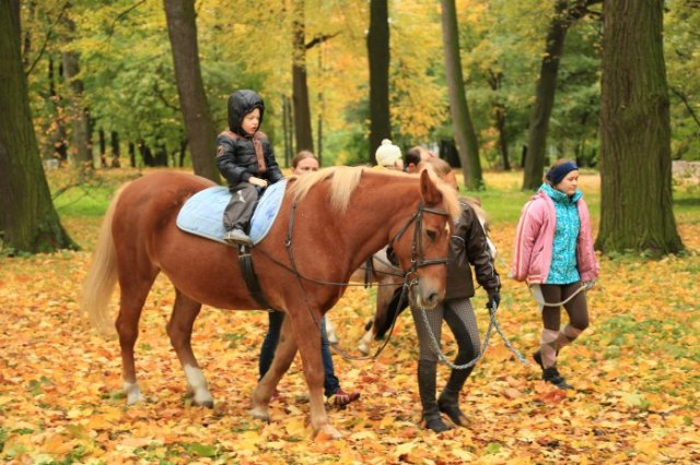 na-torgah-gtsbt-obshaya-summa-sdelok-sostavila-svyshe-7-millionov-763-tysyac-dollarov-ssha