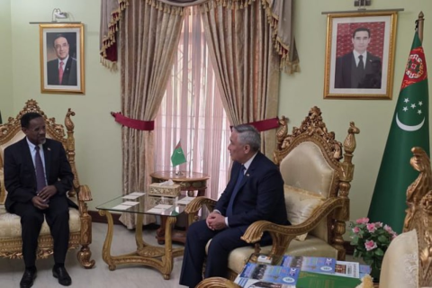 Туркменистан и Эфиопия рассмотрели пути укрепления дипломатического сотрудничества