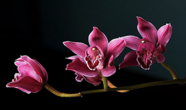 na-torgah-gtsbt-obshaya-summa-sdelok-sostavila-svyshe-7-millionov-763-tysyac-dollarov-ssha