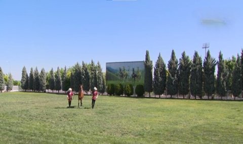 В Ашхабаде прошел второй этап конкурса красоты ахалтекинских скакунов