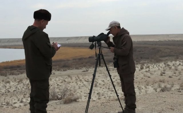 na-torgah-gtsbt-obshaya-summa-sdelok-sostavila-svyshe-7-millionov-763-tysyac-dollarov-ssha