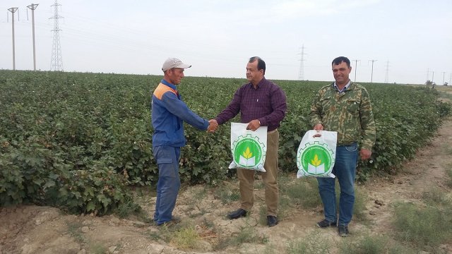 na-torgah-gtsbt-obshaya-summa-sdelok-sostavila-svyshe-7-millionov-763-tysyac-dollarov-ssha