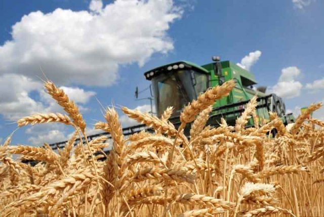 na-torgah-gtsbt-obshaya-summa-sdelok-sostavila-svyshe-7-millionov-763-tysyac-dollarov-ssha