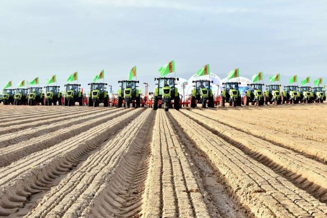 na-torgah-gtsbt-obshaya-summa-sdelok-sostavila-svyshe-7-millionov-763-tysyac-dollarov-ssha