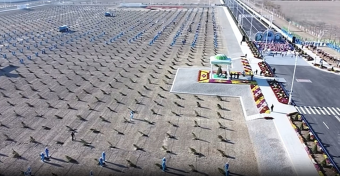 В городе Аркадаг высадили первые деревья осенней кампании