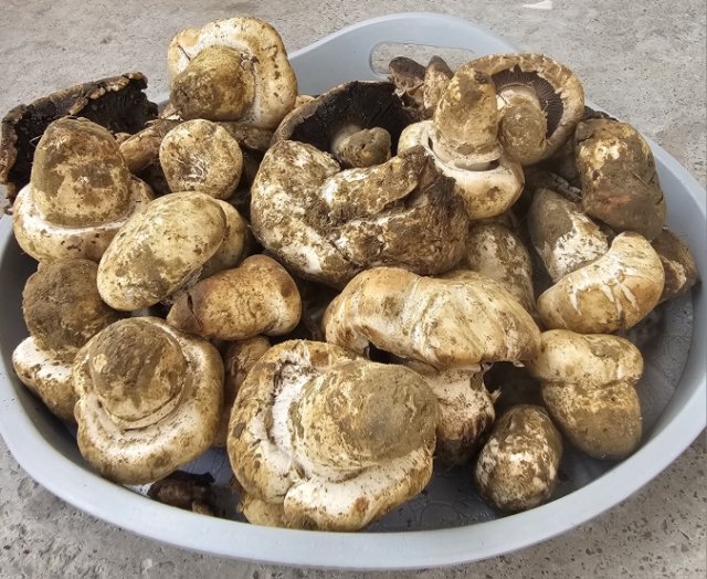 na-torgah-gtsbt-obshaya-summa-sdelok-sostavila-svyshe-7-millionov-763-tysyac-dollarov-ssha