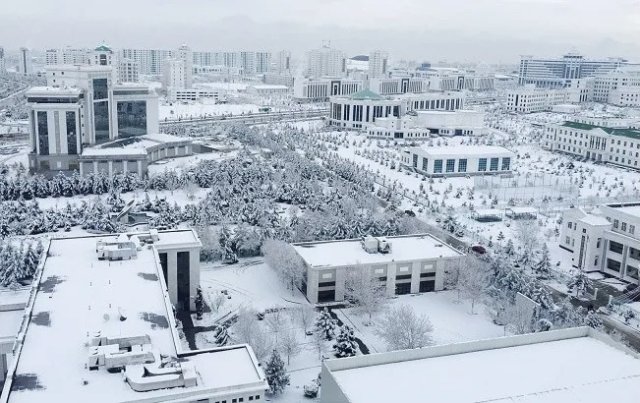 na-torgah-gtsbt-obshaya-summa-sdelok-sostavila-svyshe-7-millionov-763-tysyac-dollarov-ssha