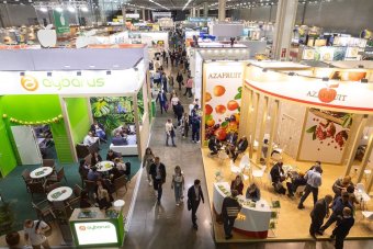 Туркменские производители представят свою продукцию на WorldFood Moscow 2025