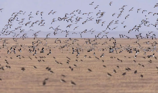 na-torgah-gtsbt-obshaya-summa-sdelok-sostavila-svyshe-7-millionov-763-tysyac-dollarov-ssha