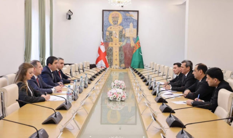 Министр иностранных дел Туркменистана встретился с председателем Парламента Грузии