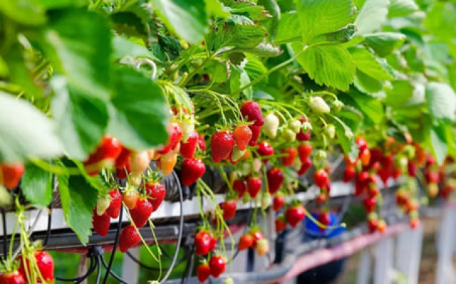 na-torgah-gtsbt-obshaya-summa-sdelok-sostavila-svyshe-7-millionov-763-tysyac-dollarov-ssha