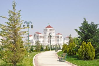 В Туркменистане разработана Национальная лесная программа на 2026–2030 годы  