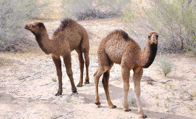 na-torgah-gtsbt-obshaya-summa-sdelok-sostavila-svyshe-7-millionov-763-tysyac-dollarov-ssha