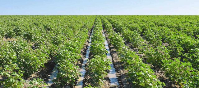 na-torgah-gtsbt-obshaya-summa-sdelok-sostavila-svyshe-7-millionov-763-tysyac-dollarov-ssha