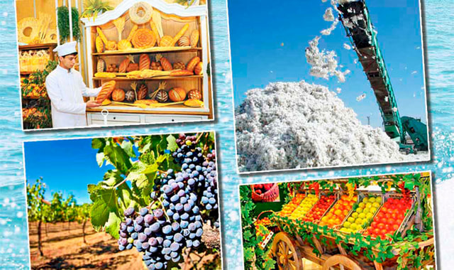 na-torgah-gtsbt-obshaya-summa-sdelok-sostavila-svyshe-7-millionov-763-tysyac-dollarov-ssha