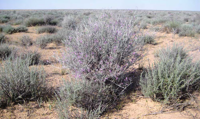 na-torgah-gtsbt-obshaya-summa-sdelok-sostavila-svyshe-7-millionov-763-tysyac-dollarov-ssha