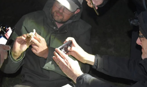 В Туркменистане организовали международную экспедицию по изучению летучих мышей