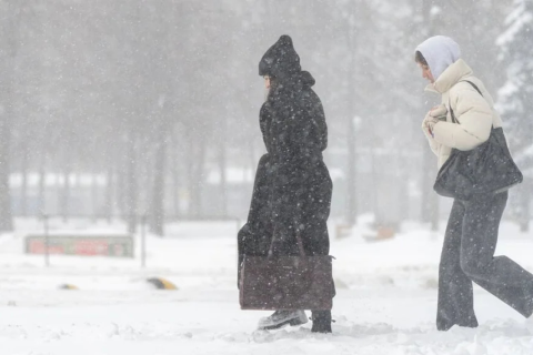 В Москве отмечена наиболее морозная ночь с начала зимнего сезона