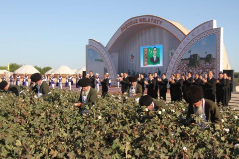 Аграрии Дашогузского велаята готовятся к хлопкоуборочной страде