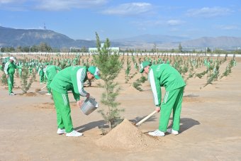Президент Туркменистана возглавил всенародную акцию по озеленению страны