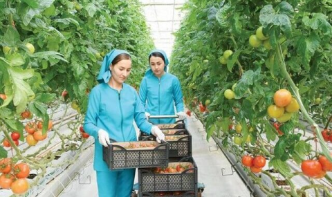 Продукция Altyn Gala Gurluşyk пользуется спросом на внешних рынках