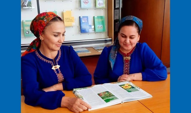 na-torgah-gtsbt-obshaya-summa-sdelok-sostavila-svyshe-7-millionov-763-tysyac-dollarov-ssha