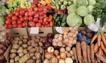 В Лебапском велаяте растёт производство сельхозпродукции