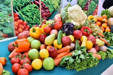 Дашогузский велаят укрепляет позиции лидера по бахчевой продукции