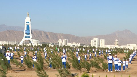 В Туркменистане стартовал осенний этап национальной программы озеленения 