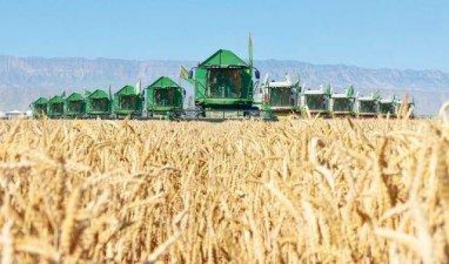 na-torgah-gtsbt-obshaya-summa-sdelok-sostavila-svyshe-7-millionov-763-tysyac-dollarov-ssha