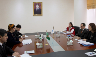 В МИД Туркменистана обсудили сотрудничество с УВКПЧ ООН
