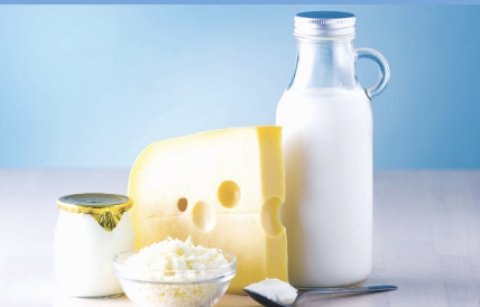 ПО «Рухабат» расширяет ассортимент молочной продукции