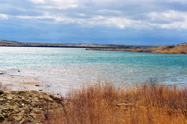 na-torgah-gtsbt-obshaya-summa-sdelok-sostavila-svyshe-7-millionov-763-tysyac-dollarov-ssha