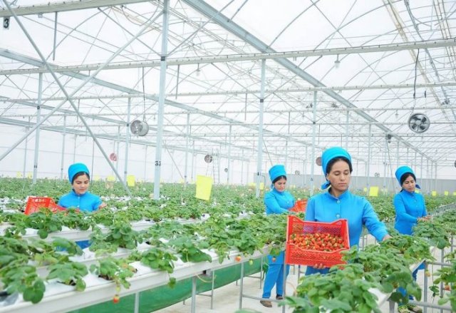 na-torgah-gtsbt-obshaya-summa-sdelok-sostavila-svyshe-7-millionov-763-tysyac-dollarov-ssha