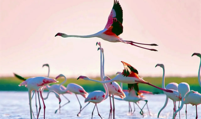 na-torgah-gtsbt-obshaya-summa-sdelok-sostavila-svyshe-7-millionov-763-tysyac-dollarov-ssha