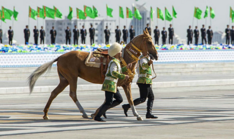 Глава Туркменистана получил ахалтекинского коня в подарок по случаю Дня независимости
