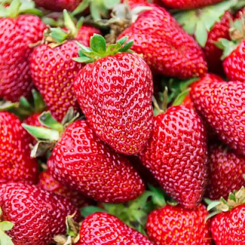 Предприниматели Туркменистана обеспечивают продовольственную безопасность  