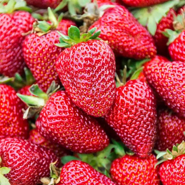 na-torgah-gtsbt-obshaya-summa-sdelok-sostavila-svyshe-7-millionov-763-tysyac-dollarov-ssha